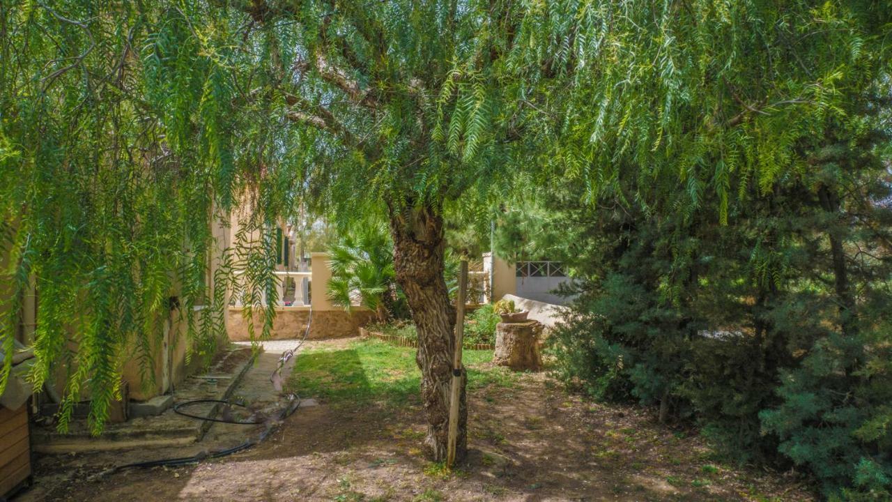 Sylvia'S Guest House Kavrokhorion Екстериор снимка